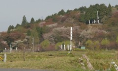 「歴女」っているのかなぁ？