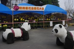年配者に優しい遊園地。