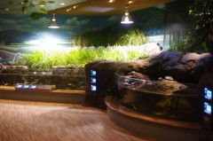 宮島水族館