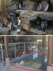 ペンギンマンション