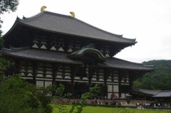 見ろ！人がまるでゴミのようだ!!!