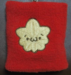 ご当地(´･ω･｀)ｼｮﾎﾞｰﾝ　ｂｙ　広島