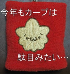 【お題日記】プロ野球の試合観に行ったことありますか？