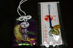 【お題日記】元旦セール・初売りの戦利品報告♪