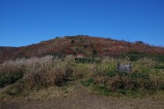 休日、山に登る。