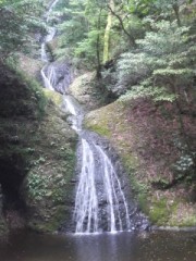 【お題日記】海に行ったら何をする？