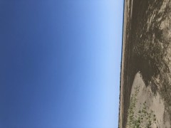 【お題日記】一番恥ずかしかった行為は？