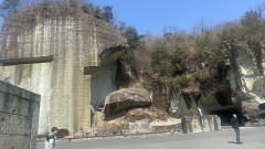 旅行から帰宅！