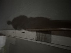 大学行ってきたけど