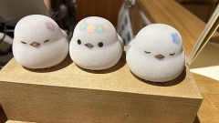 終了！！！！！！