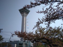 本日の五稜郭公園