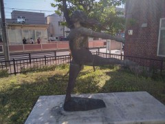 【お題日記】会場まで行って見た事あるスポーツ