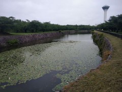本日の五稜郭公園