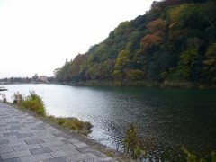 気まぐれ日記　１１月１６日