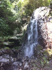 【お題日記】この夏エッチした？