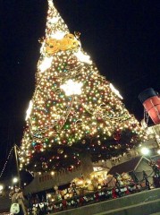 お久しぶりです