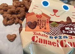 そろそろ飽き飽きしてきたこと