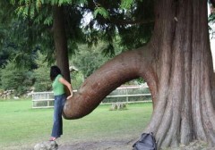 どんな時にムラムラする？