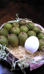 キウイのたまご