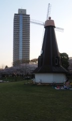 私の頭の中の消しゴム