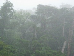 なんだなんだ！！