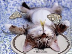 たらふく食べた～