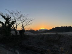 あけましておめでとうございます