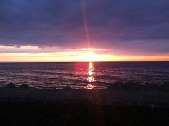 【お題日記】あなたの恋バナ教えて♪