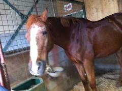 【お題日記】Hの時にされるとキュンとなることは？