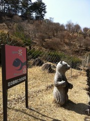 【お題日記】いまイチオシのアイドルいる？