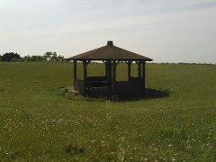 【お題日記】あなたのストレス解消法