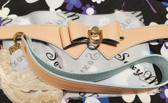 ついにゲット！