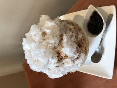 久しぶりの投稿