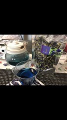 バタフライピーって知ってる？