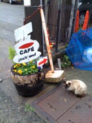 久しぶりです！