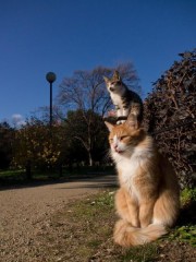 今日埼玉で即会える人いる？