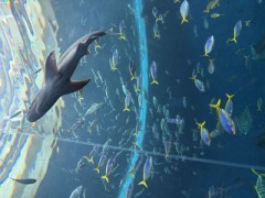 仕事が忙しくなると