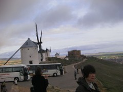 熟年離婚と婚活について!