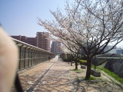 仕事中やけども