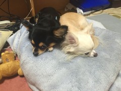 【お題日記】ラブホテルへの誘い方を教えて