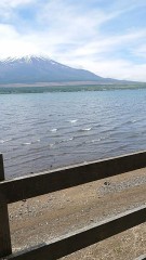 【お題日記】レンタルバイクや自転車使ったことある？