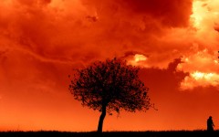 バーニング・スカイ