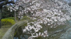 寒いですね＾＾東京は・・・