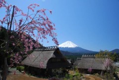 富士山
