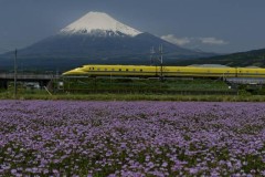 富士と新幹線
