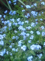 これも可愛い＾＾