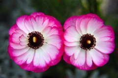 名前教えて下さい。