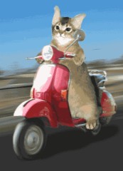 ビュンビュンだぜ＾＾