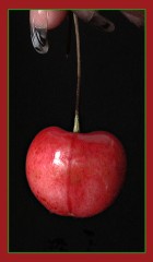 さくらんぼ＾＾