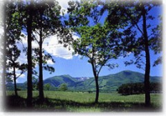 蔵王の景観に感動！！